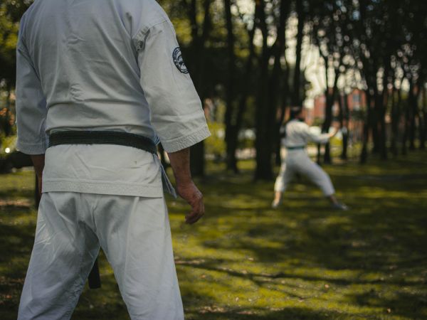 Karate: Sztuka walki, duchowa droga i doskonałe samodoskonalenie